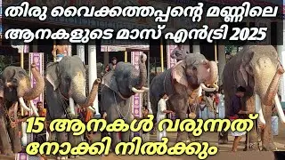 15 ആനകളുടെ മാസ് എൻട്രി വൈക്കത്തഷ്ടമി 2025 | vaikathastami aanayoottu 2025  #elephant #vaikathashtami