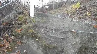 Now that's an unmaintained trail!