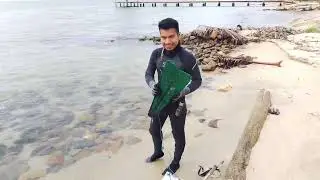 pescando #langosta #pargos y nuevamente los incontramos un #manatee enel mar caribe