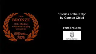 DPG Masters 2025 Short Film Bronze Winner &ndash; &ldquo;Stories of the Kelp&rdquo;