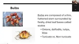 Plant Families: Liliaceae Online Class