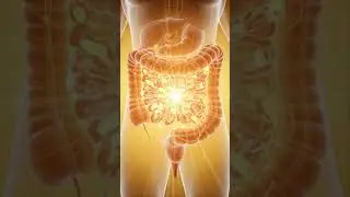 3D Digestive Systems Animation | Peach Human Anatomy  #viralvideo #digestivesystem #shorts