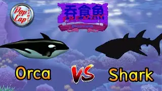 Feeding Frenzy 2 Mod Boss Rush Orca VS Shark (Down to Fish-Ness High Quality)