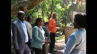 ሌላው የአርባምንጭ መልክ