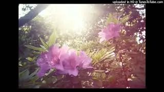 misogi outtatown lovepeace type beat - you are so special