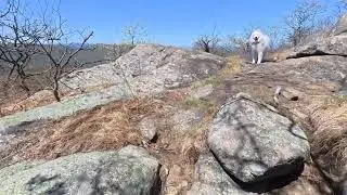 Hiking #779 (4/28/2025) Mt.Taurus (Bull Hill) - Full Loop