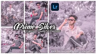 Prime Silver - Lightroom DNG & XMP Presets Free  | Silver tone lightroom presets 2022