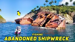 Fishing an ABANDONED SHIPWRECK for MULTI SPECIES!
