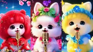 Kullu man alaiha fa naat beautiful naats#cute#cat Paak#love mashallah ❤️