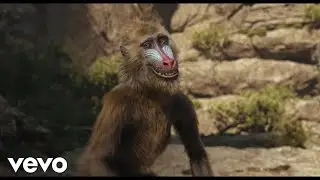 Vayamos juntos (De 