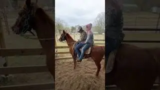 Equestrian Therapy (Education)