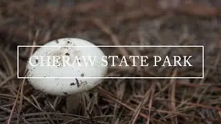 Travel Video - Cheraw State Park