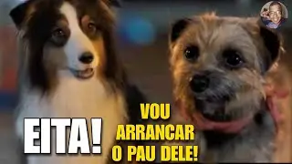 ESSE CACHORRO FOI ABANDONADO PELO SEU DONO E QUER VINGAN&Ccedil;A! Filme Ruim Pra Cachorro