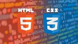Margin and Padding in CSS | HTML CSS crash course | CSS