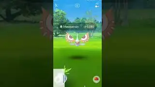 Catching Masquerain & Raticate in wild | Pok&eacute;mon go