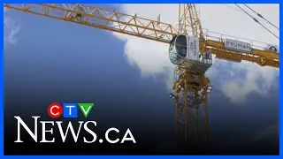Calgary businesses doing best to cope with tariff whiplash