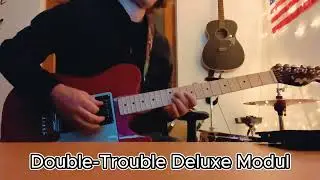 Modularit&auml;t in Aktion: DoubleTrouble Deluxe vs. Twang King &ndash; Klangvergleich 🎸