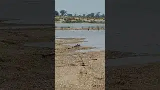 #marathi #song #movie #nature #environmental #river #villagelife