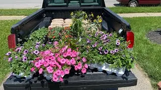 Front yard annual planting 🌸🌺 and edging flower bed