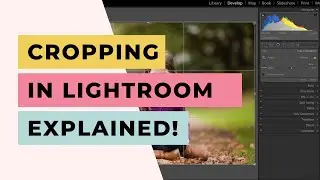 Cropping in Lightroom: The Ultimate Guide