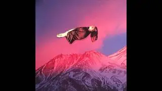 Marlin's Dreaming - Floating
