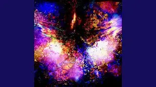 Phoenix Rippled the Universe