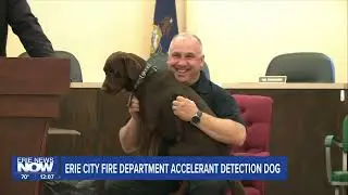 Erie City Fire Department Accelerant Detection Dog