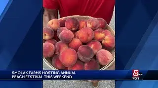 Smolak Farms hosting annual Peach Festival this weekend