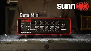 SUNN BETA MINI DEMO