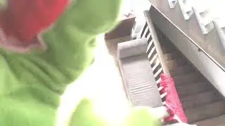 Kermits long lost brother