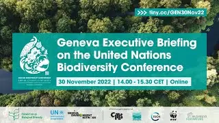 Geneva Executive Briefing on the United Nations Biodiversity Conference