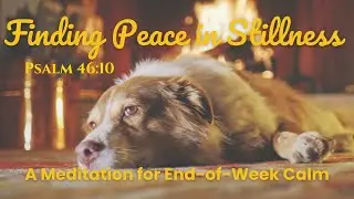 Day 9 - Finding Peace in Stillness | A Meditation for End-of-Week Calm