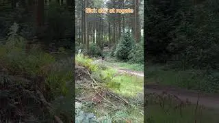 Rogate bikepark #bikinibottom #mtb #rogatebikepark #trail #shorts 