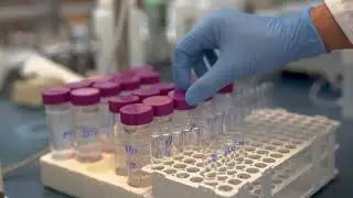 Regional San Water Professionals Week   Environmental Lab