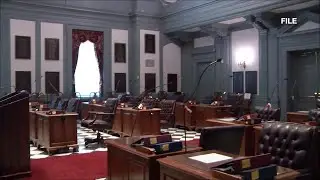 Delaware constitution still says voters must be 21 to cast their ballots, lawmakers talk change