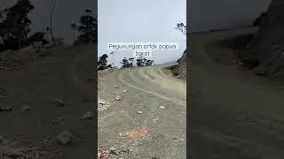 Arfak mountains pegunungan arfak papua barat pegaf