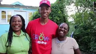 Growing Coffee in Blue Mountain Jamaica- Grow with Hi-Pro