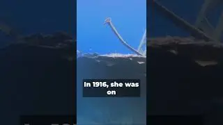 Miss Unsinkable: Violet Jessop