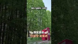[🏆우수상 수상작] 친환경 생태 도시, 익산｜2024년 익산시 영상공모전
