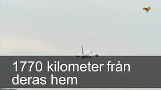Maken försvann spårlöst – dök upp tio år senare