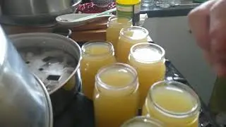 vlog 30 - blessings from a friend - soap - steam canning apple juice, apple butter and dehydrating