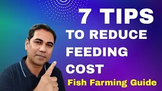 7 Proven Tips to Reduce Your Fish Feeding Costs! मछली की आहार लागत को कम करने के 7 सिद्ध युक्तियाँ!