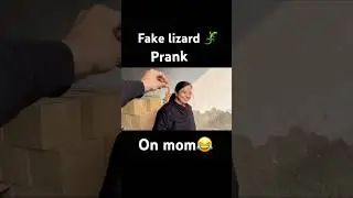 Fake lizard 🦎 prank😂#ytshorts #mom #prank #lizard #funny #viral #prankvideo #fake