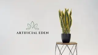 Essex Product Video Production Services