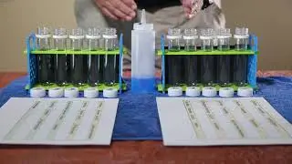 Premium Stabilized Phosphites from Verdesian