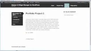 Widget visibility control in WordPress