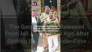 Anil Dujana Killed: Uttar Pradesh Gangster Out On Bail In Murder Case, Killed In Encounter With STF