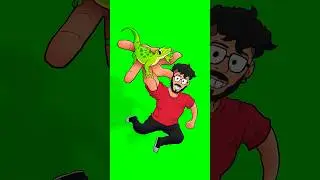 Lagartos s&atilde;o os bichos mais incr&iacute;veis! 🦎🦎