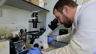 Symptoms to watch for new COVID strain