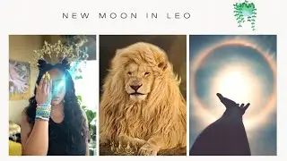New Moon in Leo 🦁| Tarot Reading | 